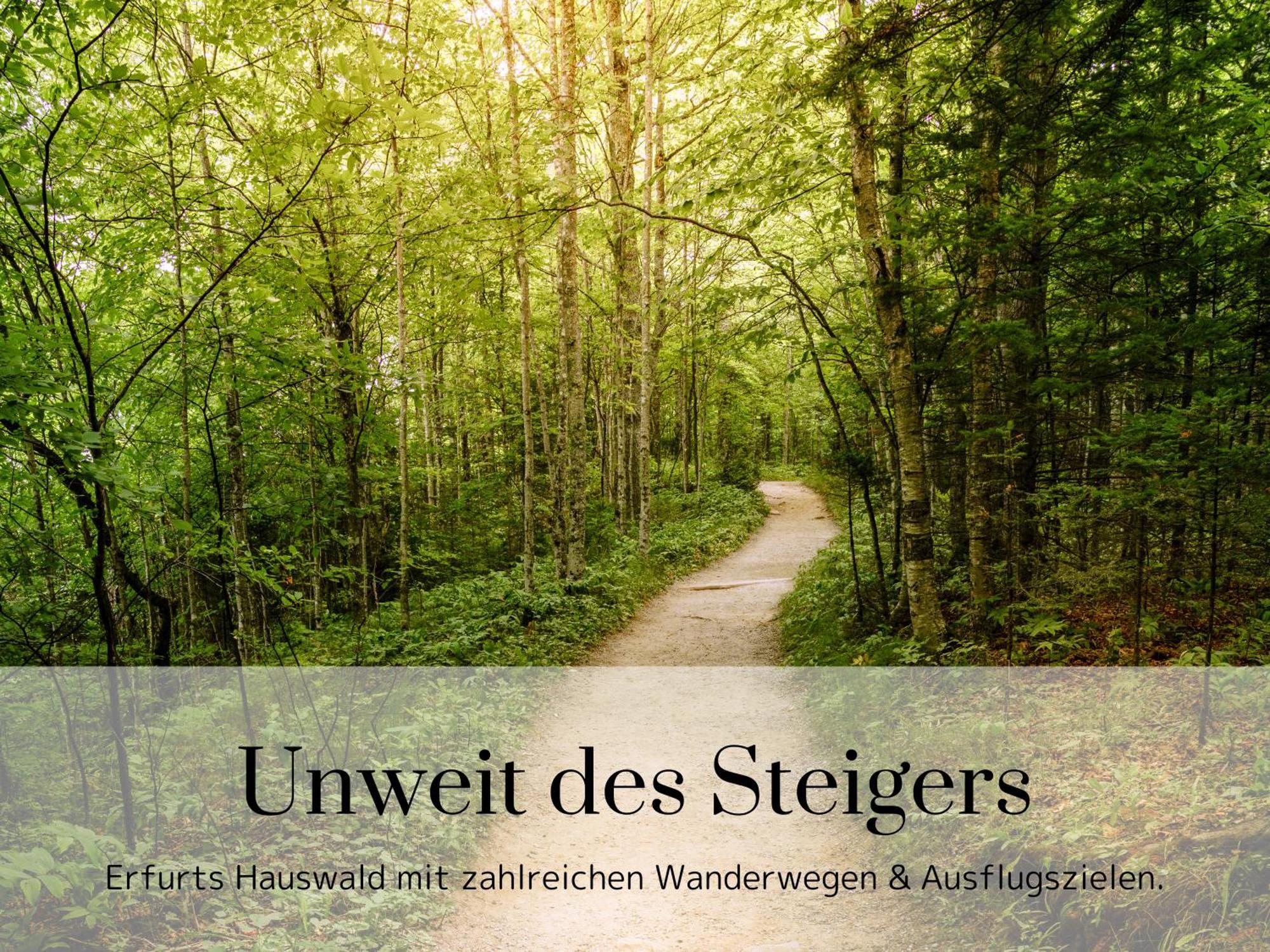 Appartamento Cardia Homes Erfurt-hopfenberg - Terrasse - Wlan - Vollausstattung